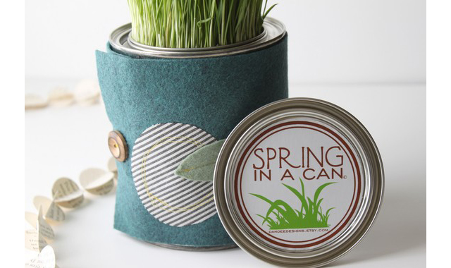 featuredcontainergarden