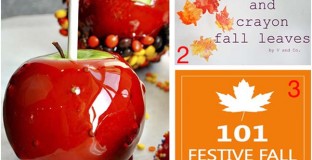 111006-fall