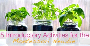 featuredMontessoriplants0