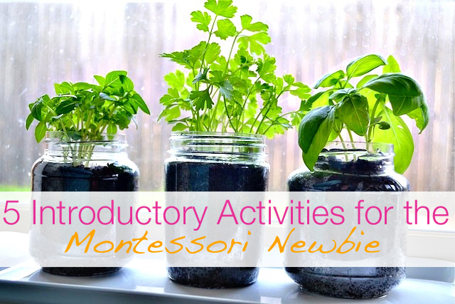 featuredMontessoriplants0