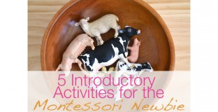 featuredmontessorianimals