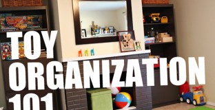 featuredtoyorganization0