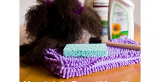 featuredcleaningscheduleactionplan1