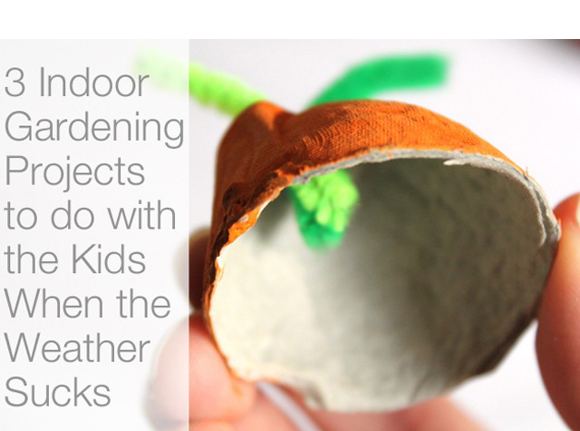 featuredindoorgardening-640x432