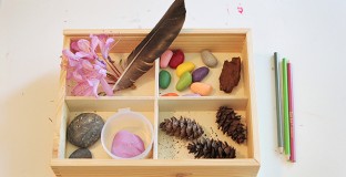 featuredehownatureart1