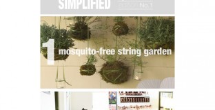 featuredlifesimplifiedmontage