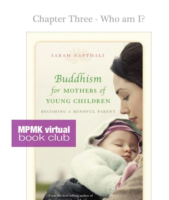 featuredbuddhismbookclubchapter3-540x650