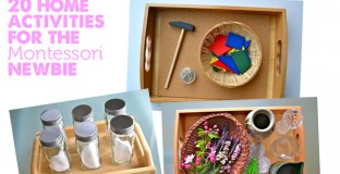 featuredmontessori20