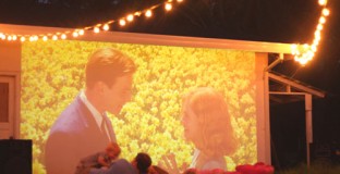 outdoor-backyard-movie