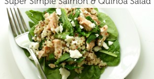 salmonsalad2