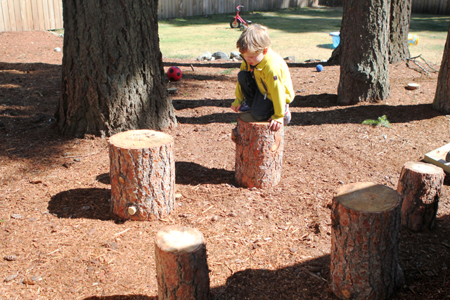 Natural play spaces logs 1