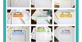 clean-mama-printables-prize-pack