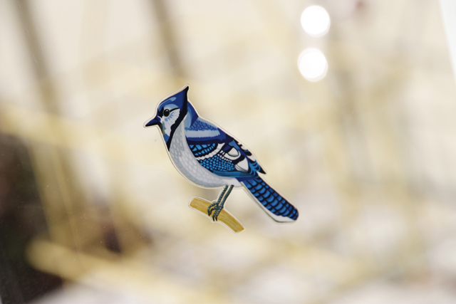 birdwatching6