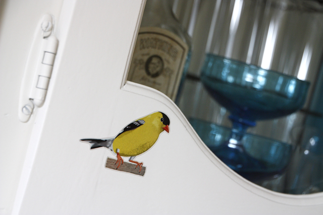 birdwatching7
