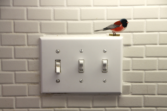 birdwatching8