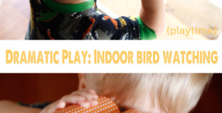 indoorbirdwatching