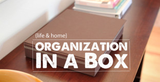 organizationinabox