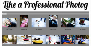 picture-organization