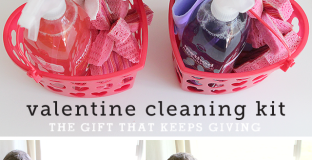 valentinecleaningkit