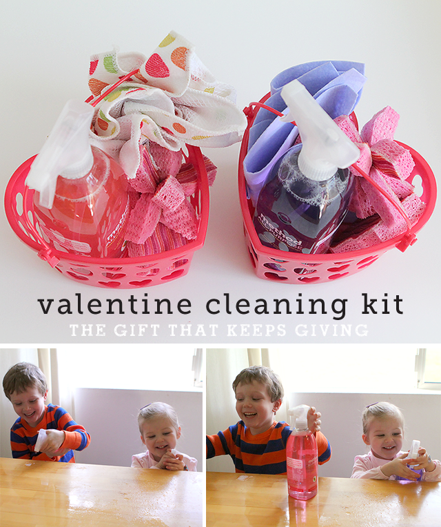 valentinecleaningkit