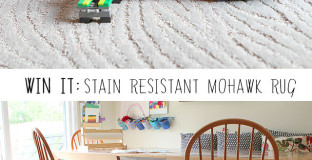 in a stain resistant rug