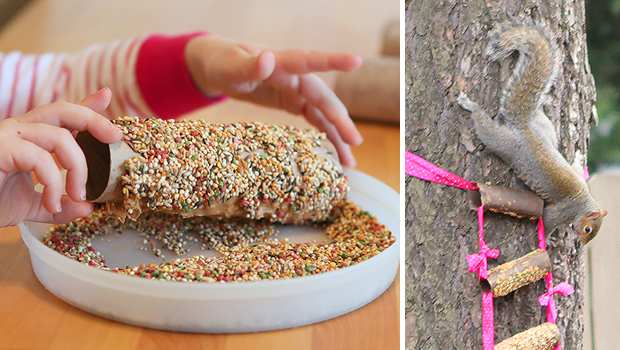 easy-animal-feeder-ladder