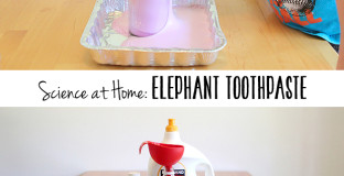 Home science experiment: Elephant Toothpaste - kids go crazy for this one and you can make it REALLY big if you want to.